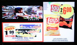 In-Store Marketing Flyer Multi-Zone Display